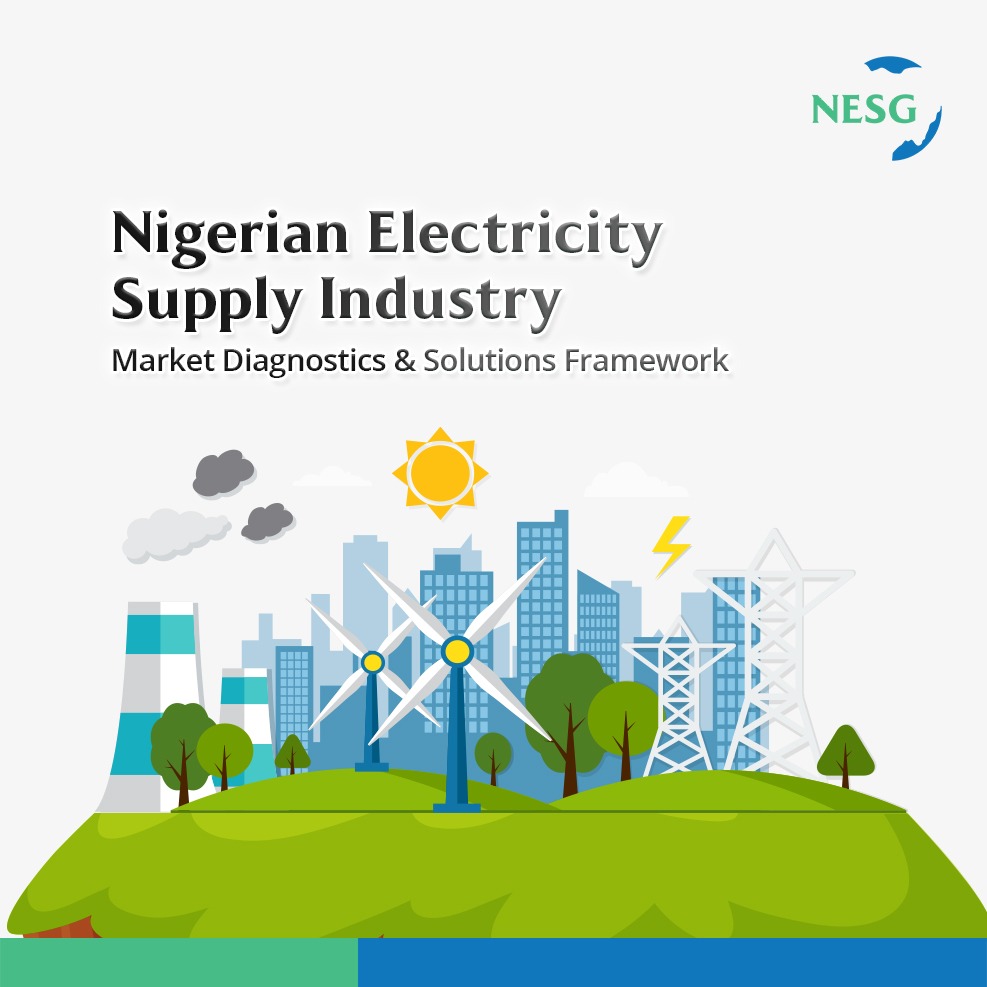 Nigerian Electricity Supply Industry: Power for Economic Growth